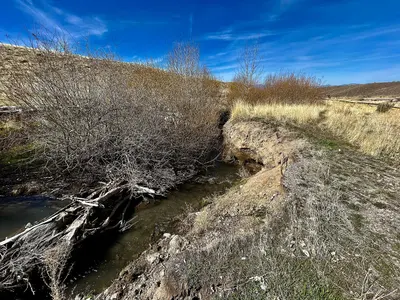 Winding Mill Creek (55184956567)
