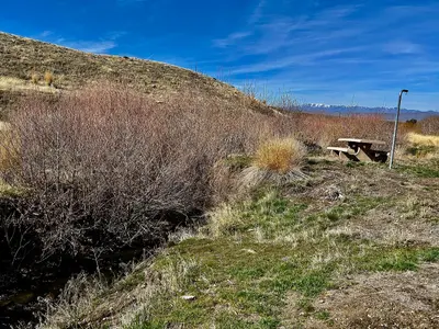 Seclusion Close to Civilization (55184956647)