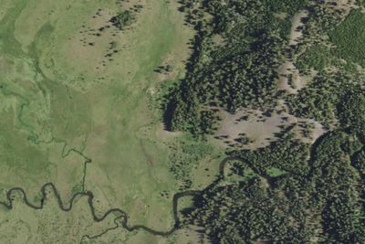 Firehole Meadows
