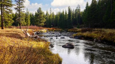 Prune Creek Campground