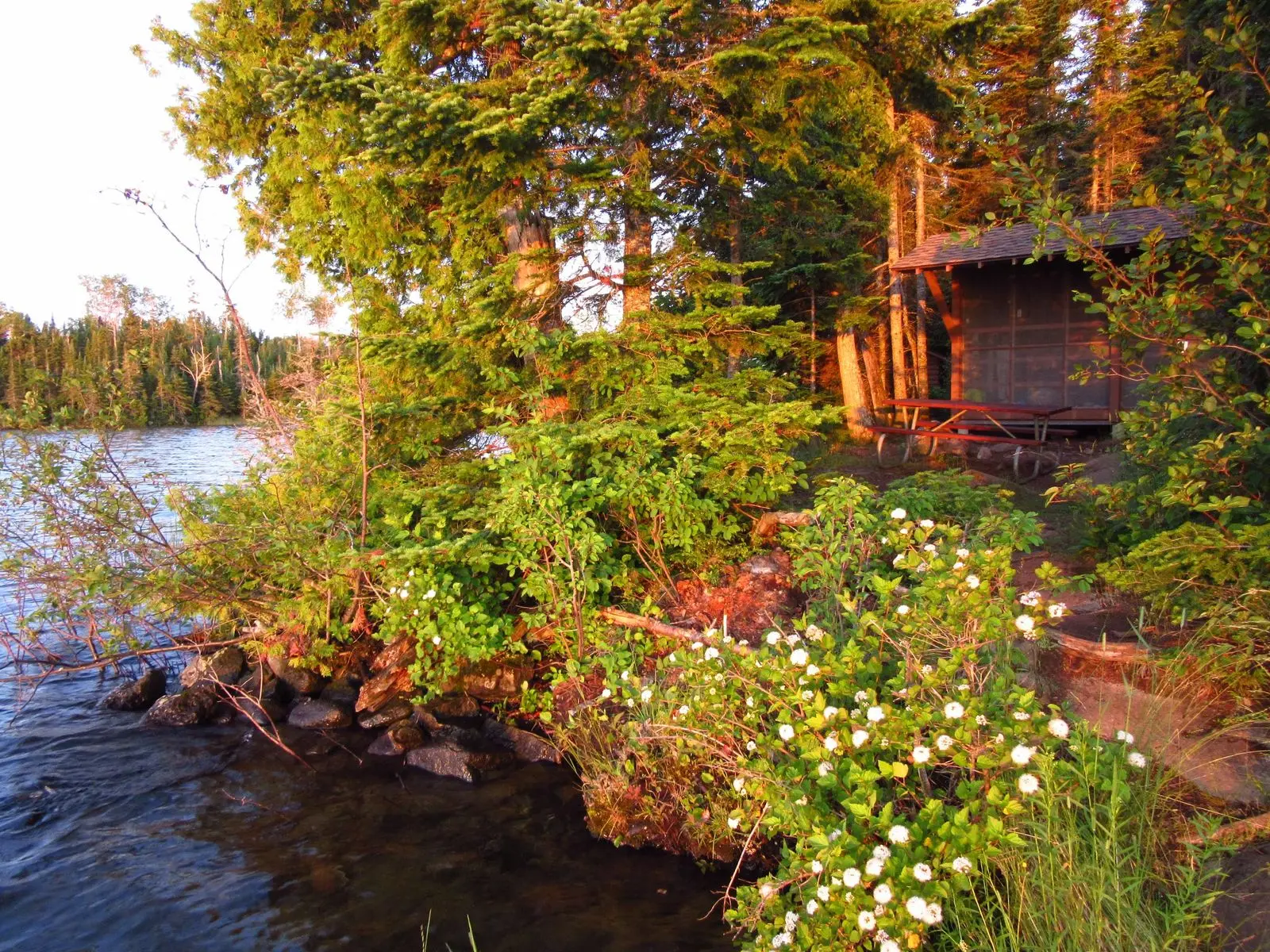 Moskey Basin Campground Shelter #7