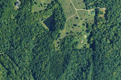 Hickory Point