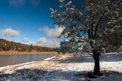 Fallen snow on Kaibab Lake. (15655745333)