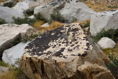 Speckled Rock Fields (140444051)