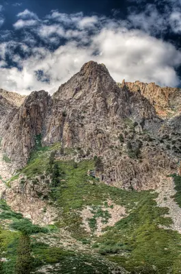 Mountain King (140444071)