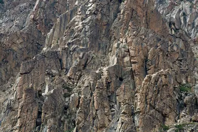 Faces In The Rock (140444067)