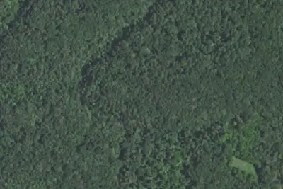 Camp site