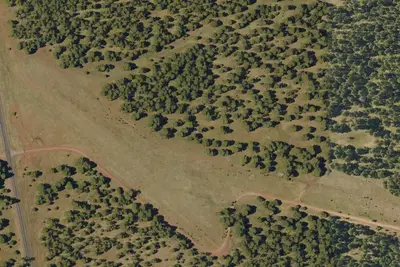 Camp site