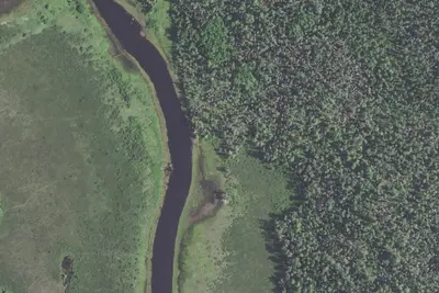 Camp site