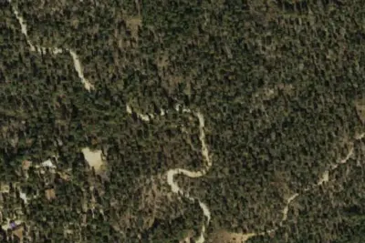 C56-Senator Hwy Designated Disp