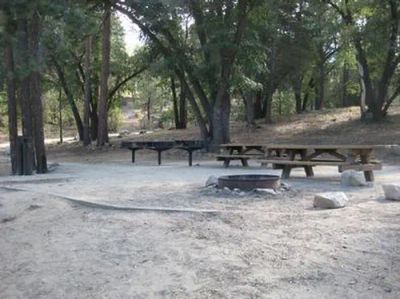 Council
