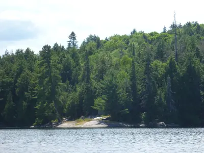 Biggar Lake - panoramio