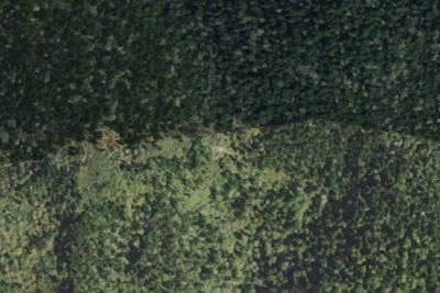 Double Spring Gap Shelter