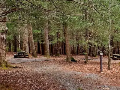 Overflow campsites