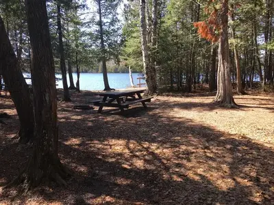 Campsite at Ninemile Campground. There is a picnic table in the shade of several trees and a lake in the background.