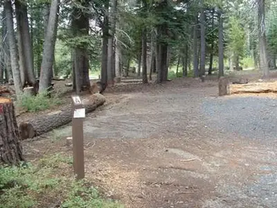 Lake alpine - lodgepole group