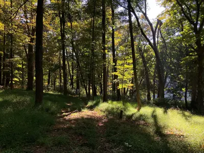 2024-09-20 10 36 40 View east along a trail connecting individual campsites at Peter's Campsite at Wallpack Bend within the Delaware Water Gap National Recreation Area in Walpack Township, Sussex County, New Jersey