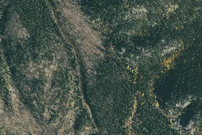 U.S. Forest Service Site 11