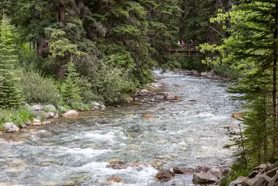 Stream near Johnston Canyon, Banff National Park, Alberta, 2025-07-12 01
