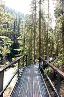 Catwalks at Johnston Canyon (29676789315)