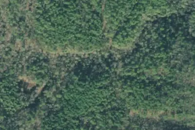 Camp site