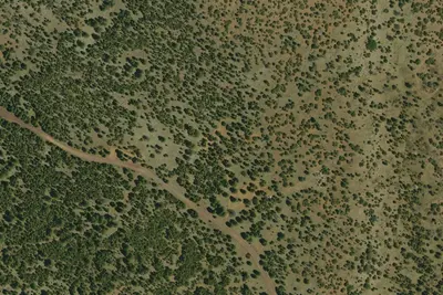 Camp site