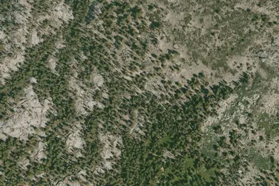 Camp site