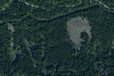 Lost Horse 009
