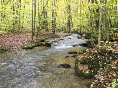 Dewdrop Recreation Area- Dewdrop Run