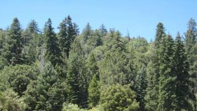Observatory Campground - USFS