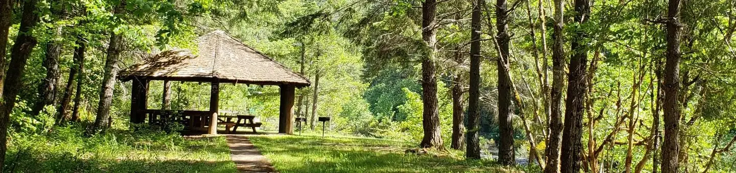 Group Picnic Shelter in sunlit glade of forested creek bank.