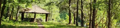 Canton Creek Campground