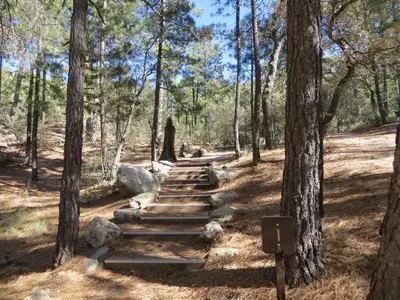 Path to site 1.