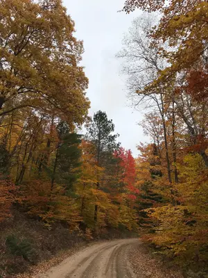 Hiawatha NF - Michigan (20181022-FS-Hiawatha-SB-004)