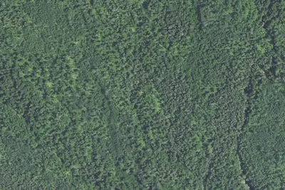 Sht- West Fork of the Kadunce