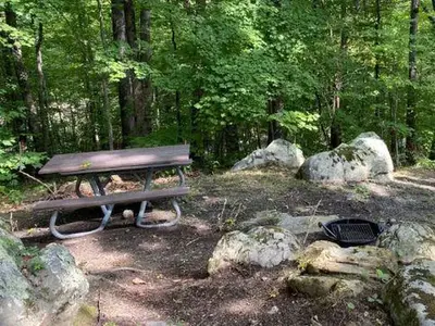 Look Rock Campsite