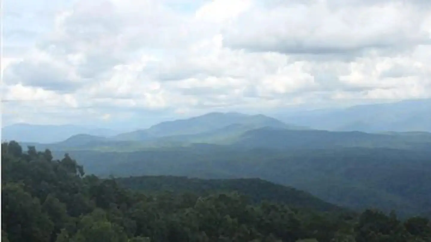 High Elevation View from the Look Rock Area