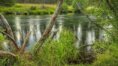 Allingham Campground