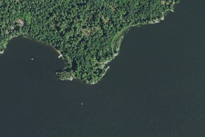 Eagle View