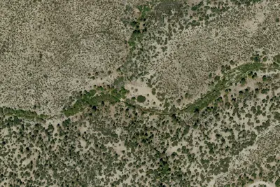 Camp site