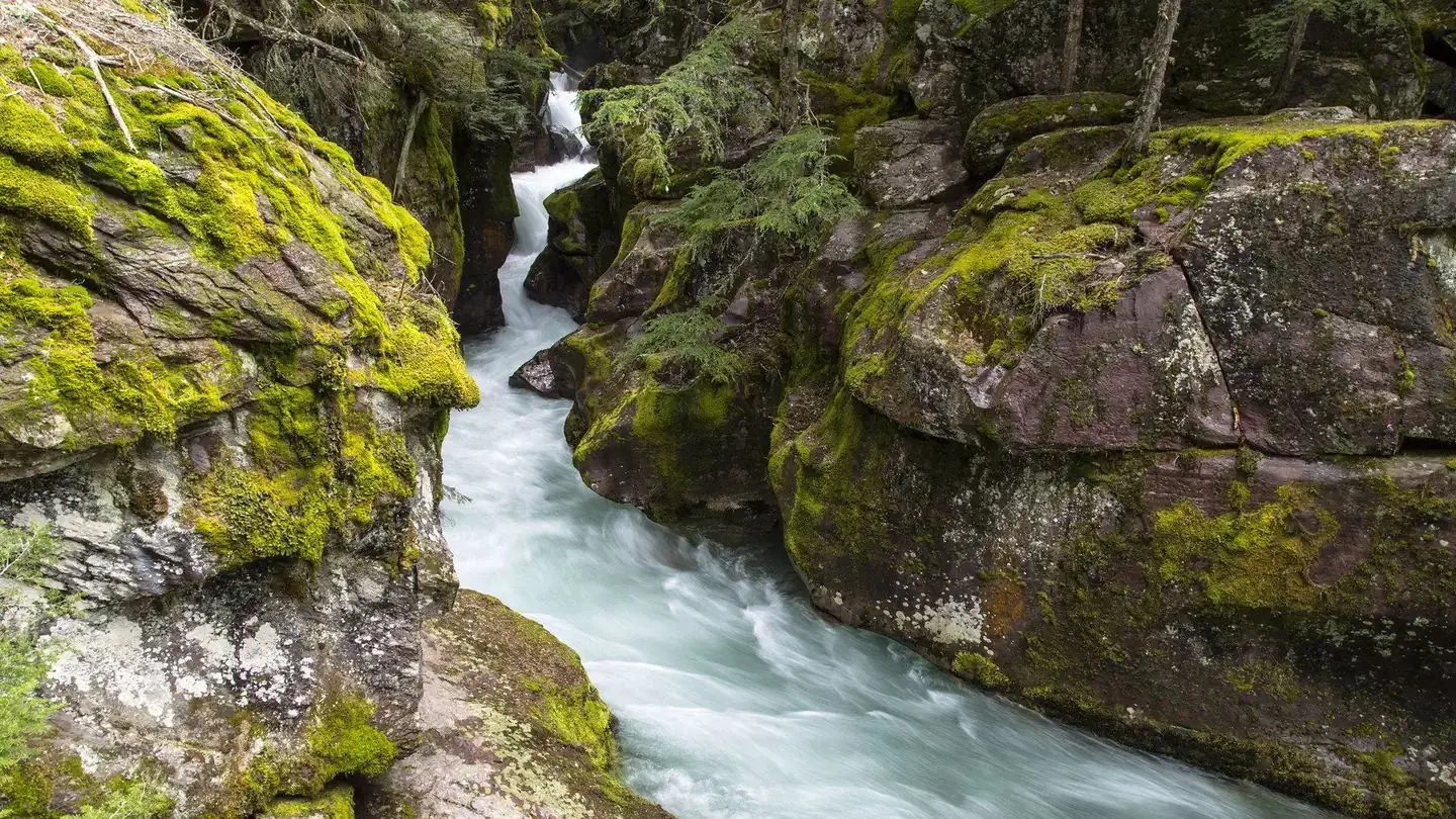 A creek flows through a small gorge of rocks covered in moss.