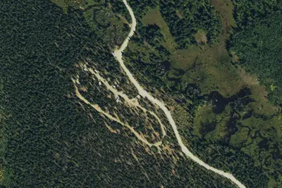 Lodgepole Campground