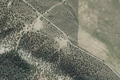 Camp site