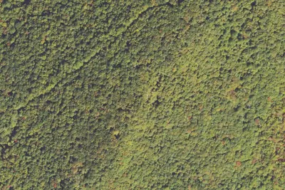 Camp site