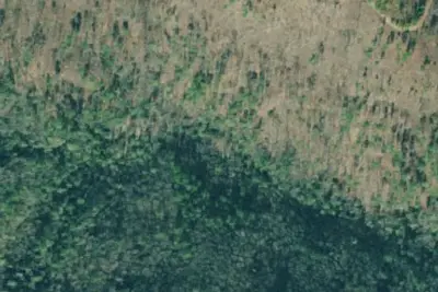 Camp site