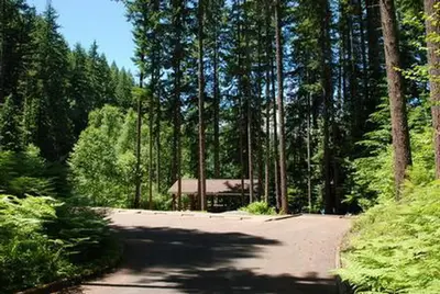 Cove creek