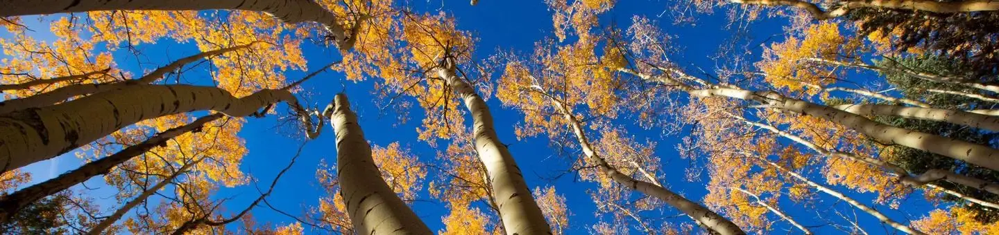 Santa Fe National Forest