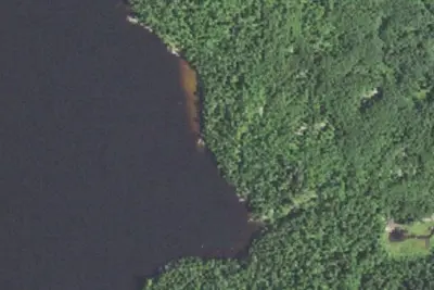 Lake Jeanette Site 11