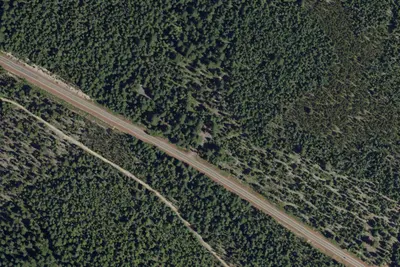 Thielsen Forest Camp