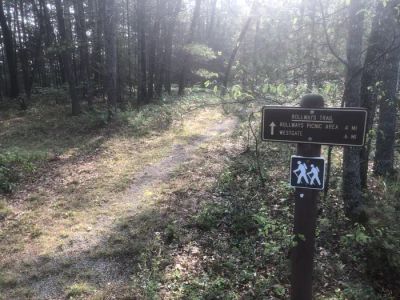 Rollways Recreation Area Campground